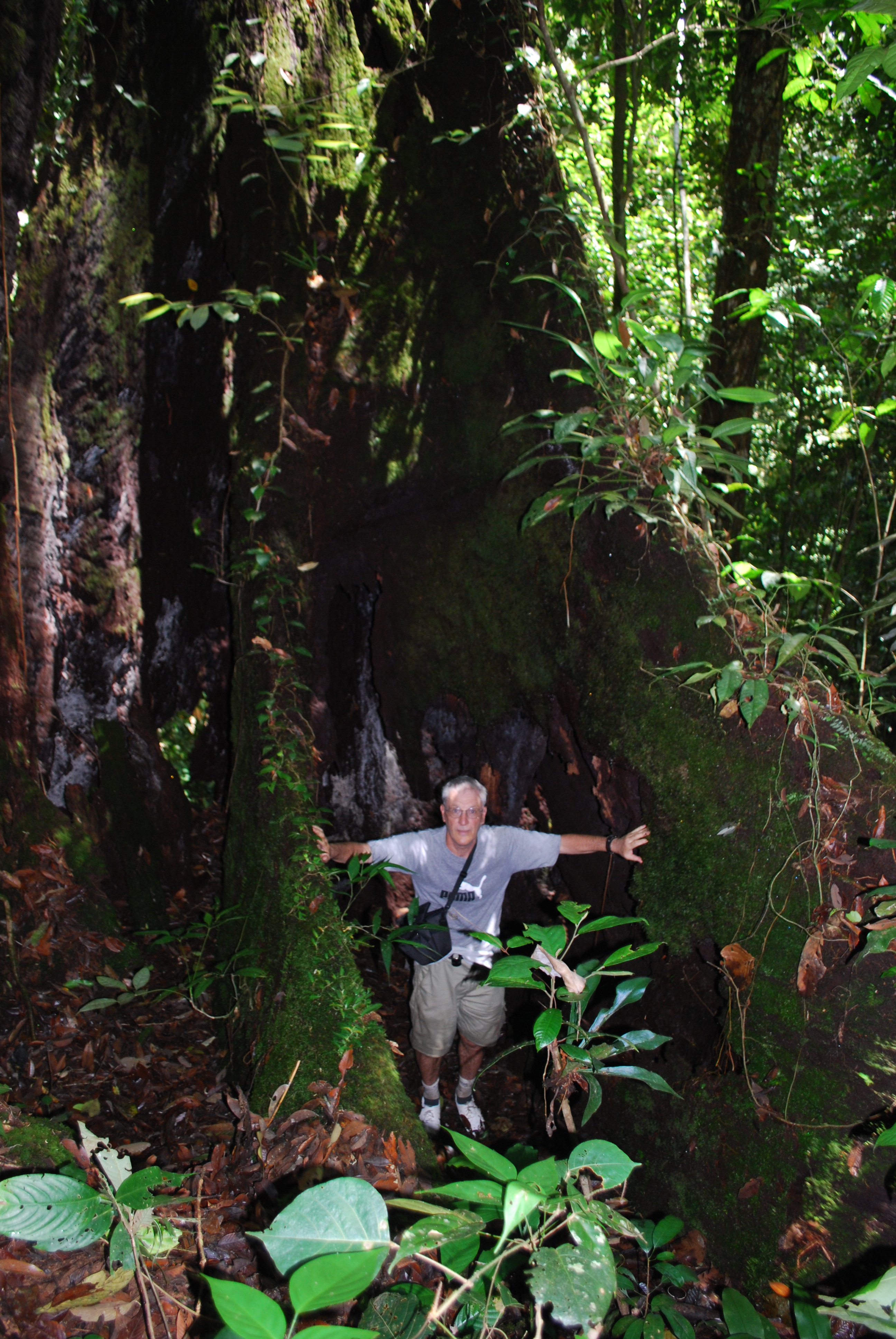 Paul Malone sitting in front of a megalith at Palungan